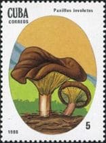 A gomba bélyegen